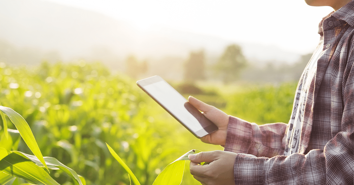 man holding samsung device in hand